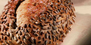 პანოპლიუს მუქი