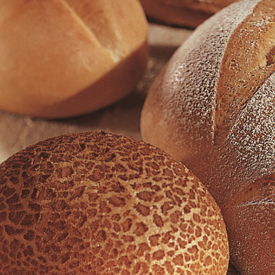 ვეფხვისტყავისებრი მიქსი