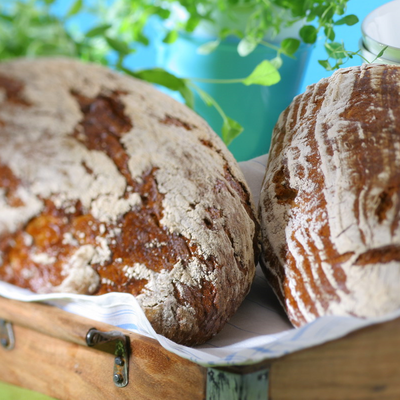 პროპაცეტი